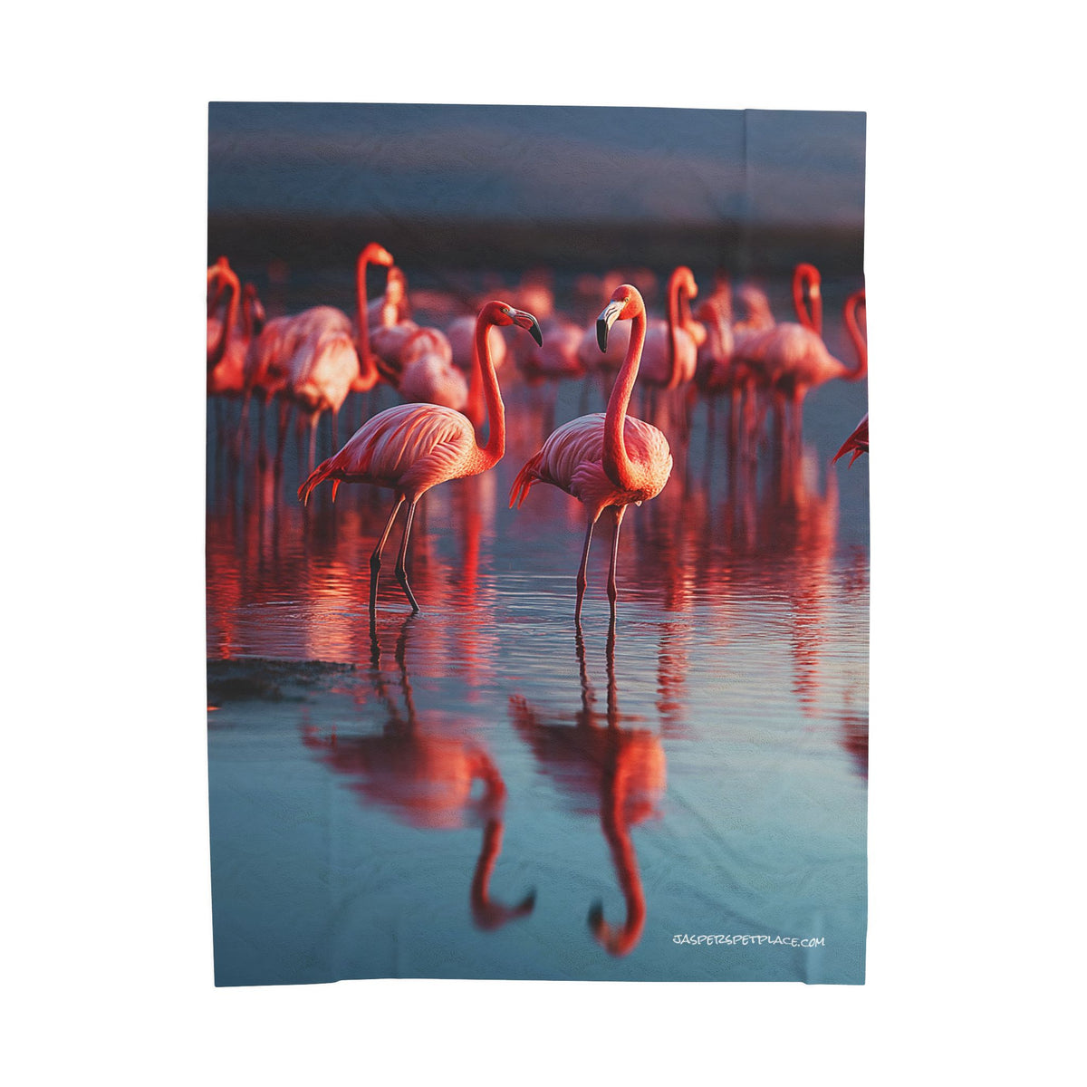 Flamingo Beach Blanket | Velveteen Plush Blanket | 60"x80" Pool Picnic Throw